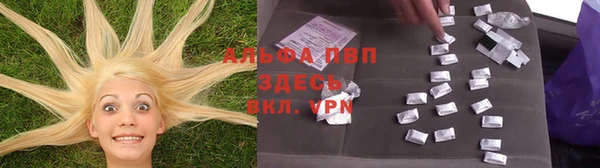 стаф Балахна