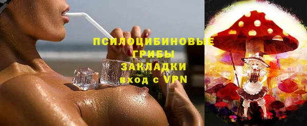 стаф Балахна
