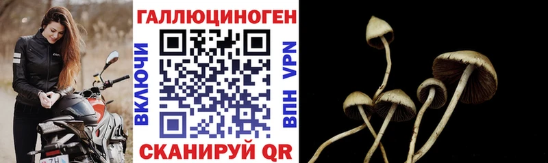 Псилоцибиновые грибы Cubensis Воскресенск