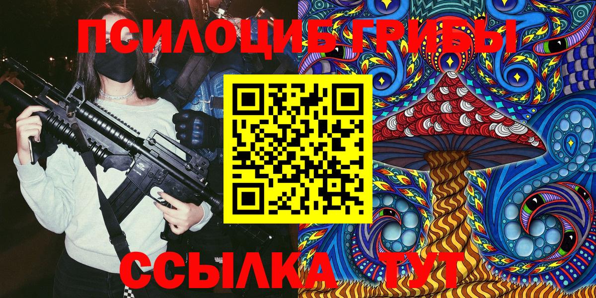 Псилоцибиновые грибы Psilocybe Воскресенск
